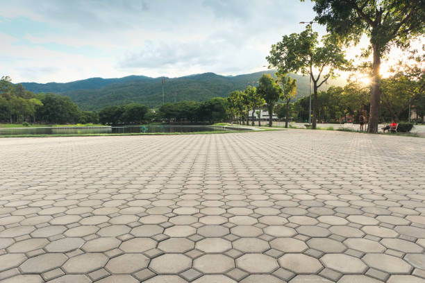 Best Custom Driveway Pavers  in Moenkopi, AZ