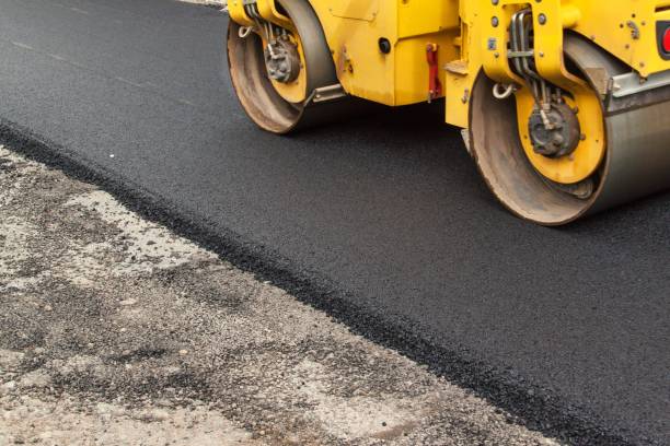 Best Decorative Driveway Pavers  in Moenkopi, AZ